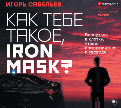 Постер книги Как тебе такое, Iron Mask?