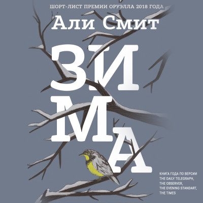 Постер книги Зима