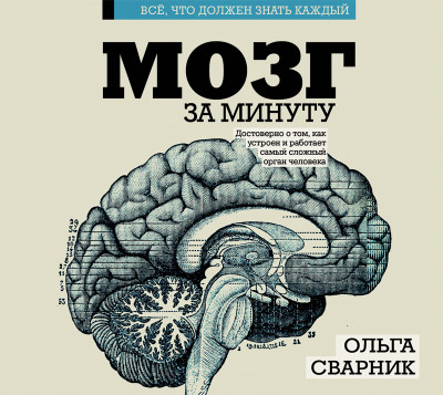 Постер книги Мозг за минуту