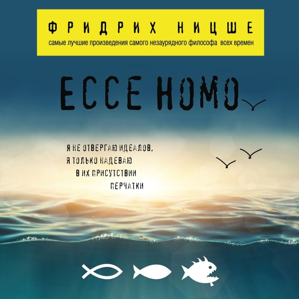 Постер книги Ecce Homo