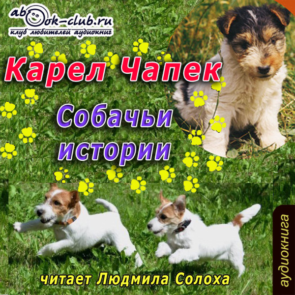 Постер книги Собачьи истории