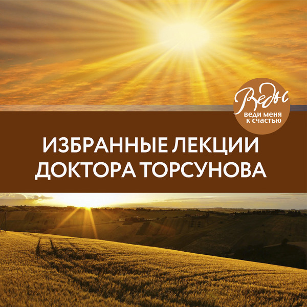 Постер книги Избранные лекции доктора Торсунова