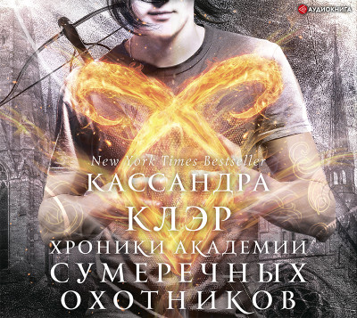 Постер книги Академия Сумеречных охотников. Хроники