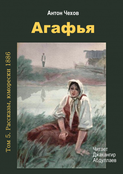 Постер книги Агафья