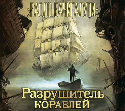 Постер книги Разрушитель кораблей
