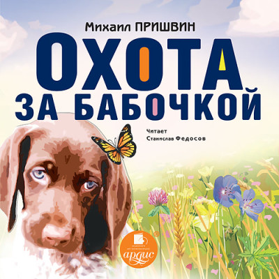 Постер книги Охота за бабочкой