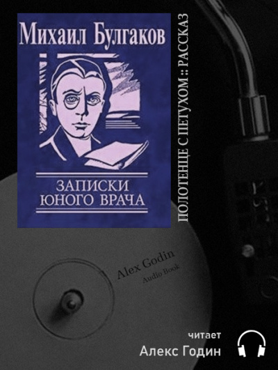 Постер книги Полотенце с петухом