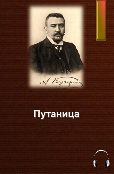 Постер книги Путаница