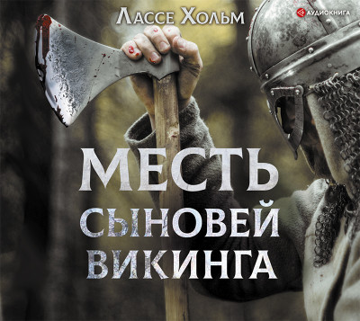 Постер книги Месть сыновей викинга
