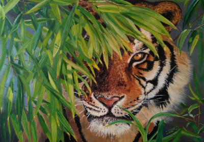 Постер книги Тигр