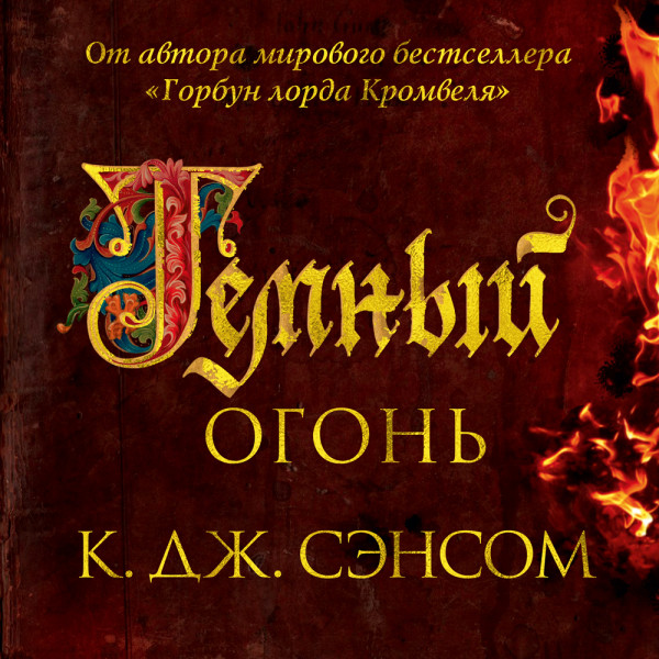 Постер книги Темный огонь