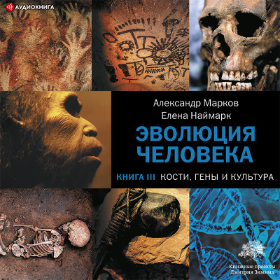 Постер книги Эволюция человека. Кости, гены и культура