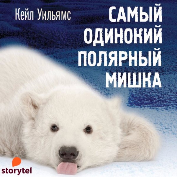 Постер книги Самый одинокий полярный мишка