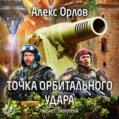 Постер книги Точка орбитального удара