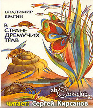 Постер книги В стране дремучих трав
