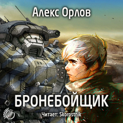 Постер книги Бронебойщик