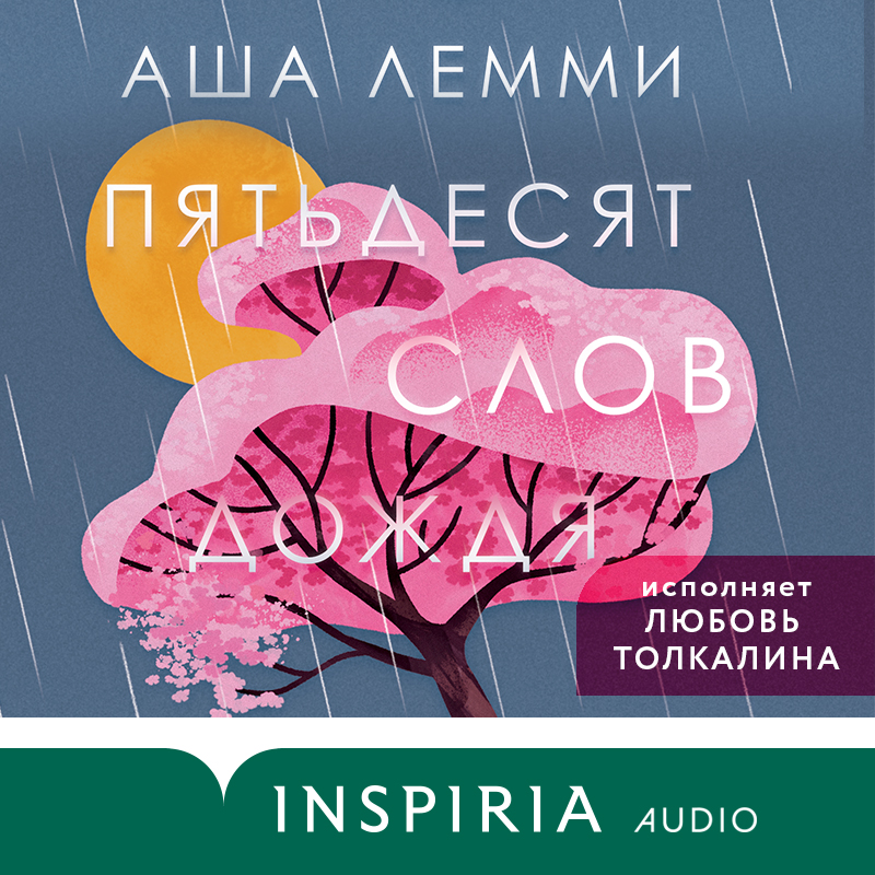 Постер книги Пятьдесят слов дождя
