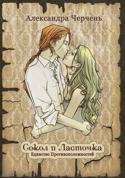 Постер книги Сокол и Ласточка