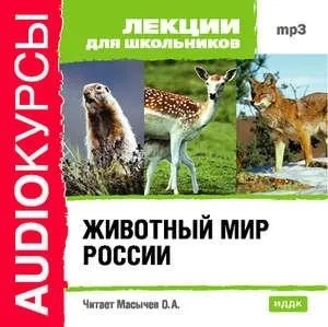 Постер книги Животный мир России