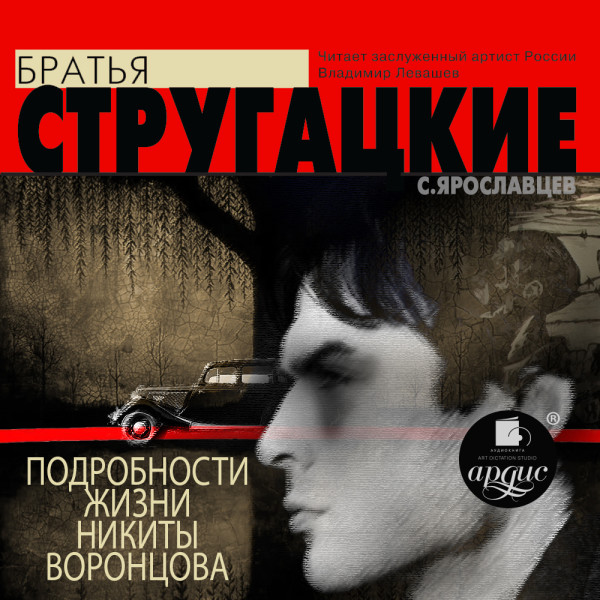 Постер книги Подробности жизни Никиты Воронцова