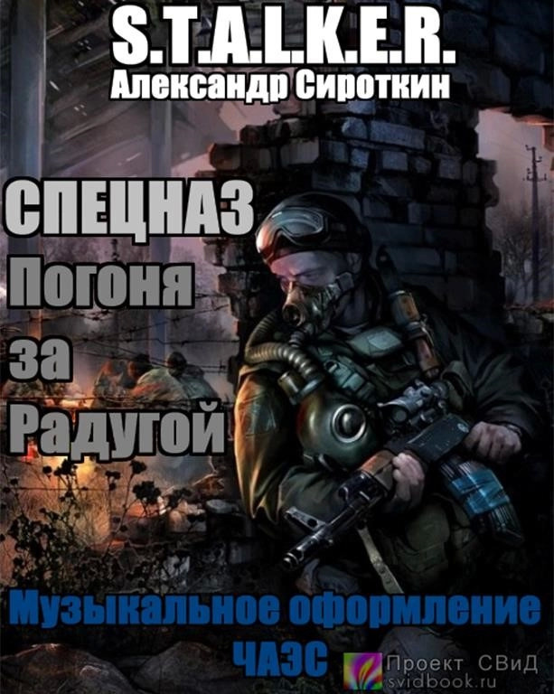 Постер книги Спецназ - Погоня за Радугой (S.T.A.L.K.E.R)