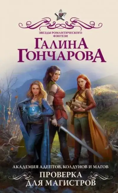 Постер книги Академия адептов, колдунов и магов. Проверка для магистров