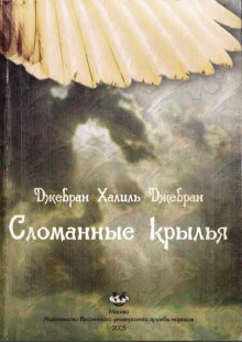 Постер книги Сломанные крылья