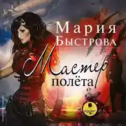 Постер книги Мастер полёта