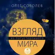 Постер книги Взгляд из потустороннего мира