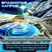 Постер книги Чёрный космос - чёрный флаг