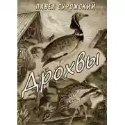 Постер книги Дрохвы