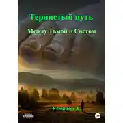 Постер книги Между Тьмой и Светом
