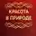 Владимир Соловьев - Красота в природе