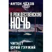 Постер книги В Рождественскую ночь