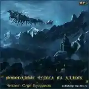 Постер книги Новогодние чудеса на аллеях. Сборник