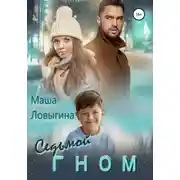 Постер книги Седьмой гном