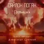 Постер книги Вспышка