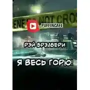 Постер книги Я весь горю!