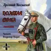 Постер книги Полевая сумка. Рассказы