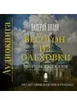 Валерий Лялин - Бесогон из Ольховки
