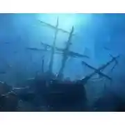 Постер книги Стихи. 2011 - 2022