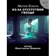 Постер книги Из-за отсутствия гвоздя