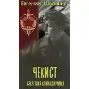 Постер книги Секретная командировка