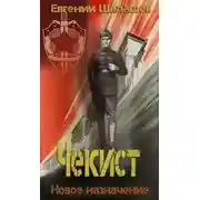 Постер книги Новое назначение