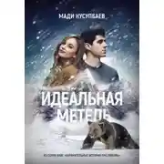 Постер книги Идеальная метель