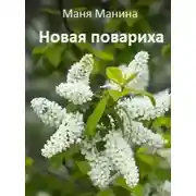 Постер книги Новая повариха