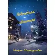 Постер книги Новогодняя авантюра