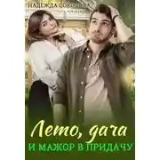 Постер книги Лето, дача и мажор в придачу