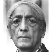 Постер книги Видеть факты