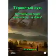 Постер книги Тернистый путь. Нормальные герои всегда идут… в обход!